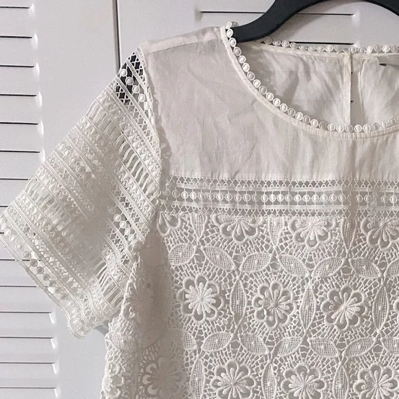 LOFT Top, Crochet, Lace, Cotton, Neutral, Sz M, Petite, MP, Feminine, Romantic - Picture 2 of 9